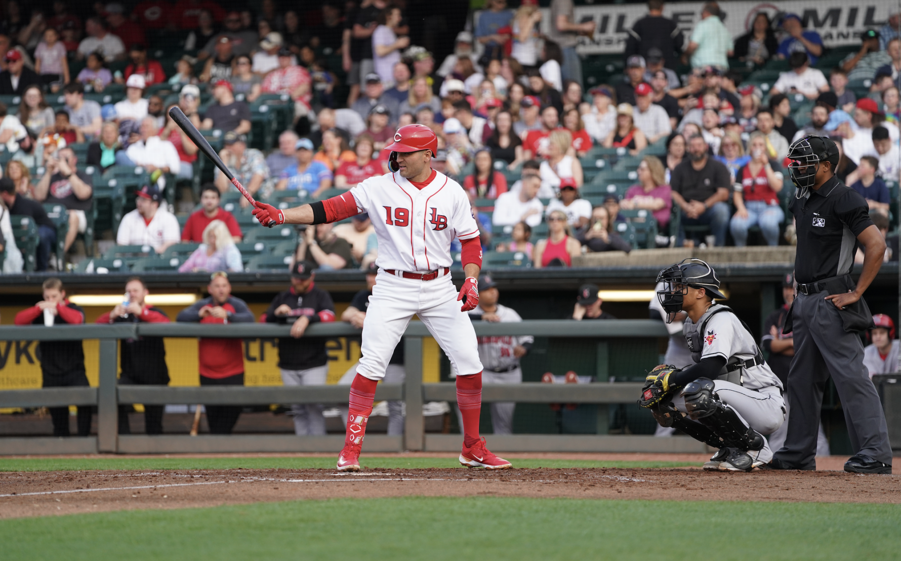 BOZICH | Will former Louisville Bat Joey Votto make Hall of Fame? Yes, he will